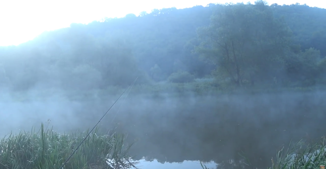 Тернопіль: риболовля на річці Серет — улов, який вражає