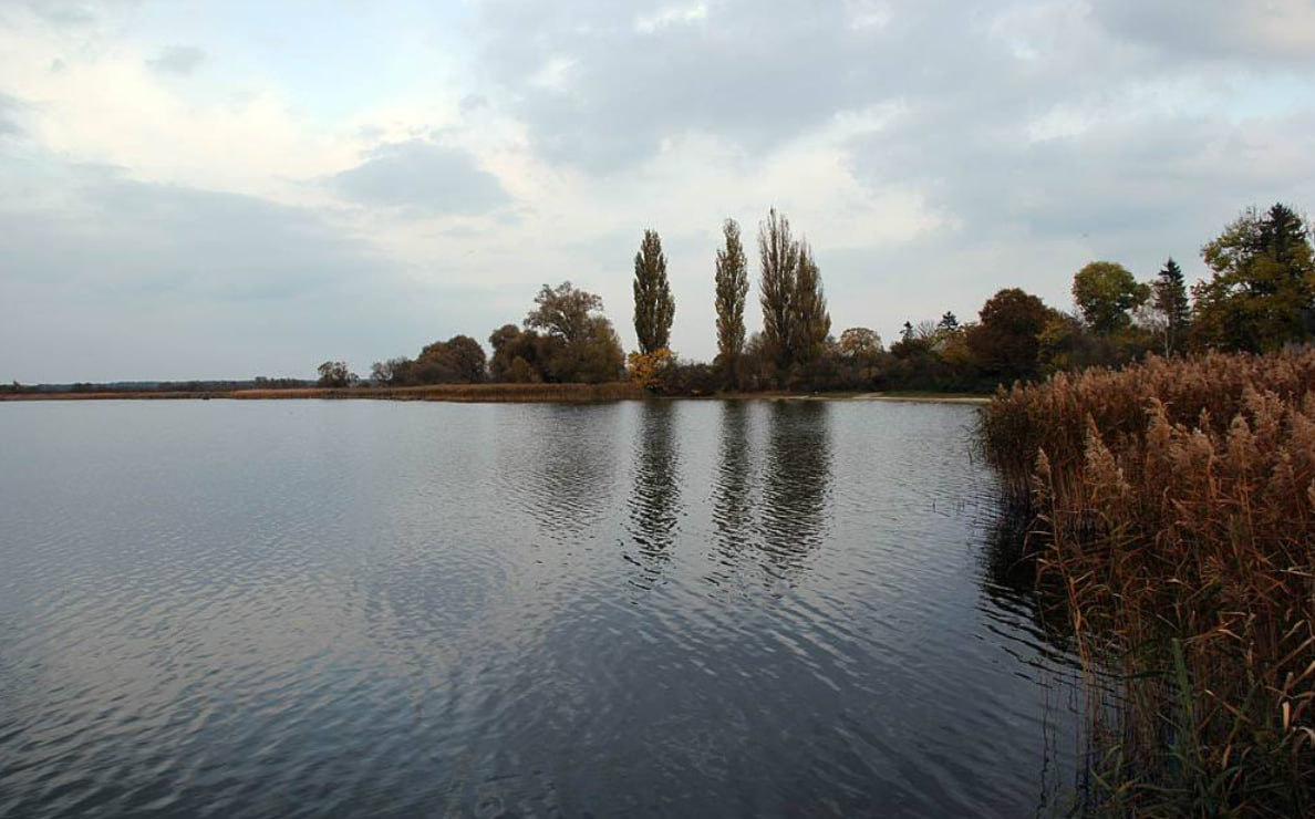 Риболовля на Озерянському озері — де знаходиться, як доїхати та що клює