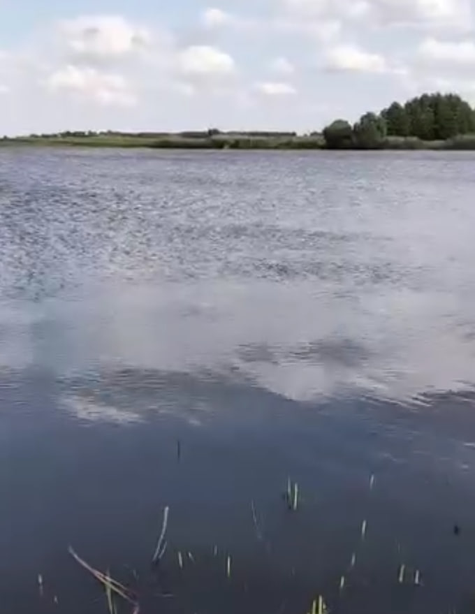 Риболовля у Вересах (Житомирська область): умови, риба, поради рибалкам