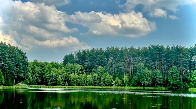 Риболовля в Коростишеві: Перше озеро — умови, риба та поради рибалкам