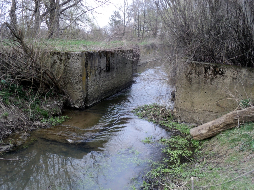Риболовля в Івано-Франківську: технічний ставок за дамбою Міського озера
