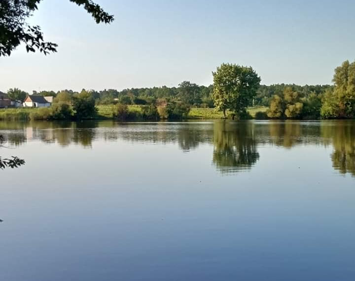 Рибалка на ставку Кукільня (Бердичівський район, Житомирська область)