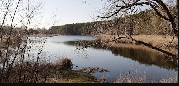 Рибалка на ставку Швирида (Соколівський став) у Житомирі