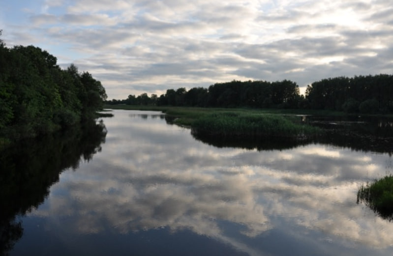 Риболовля в селі Дубрівка на річці Смолка: безкоштовна тиха рибалка 
