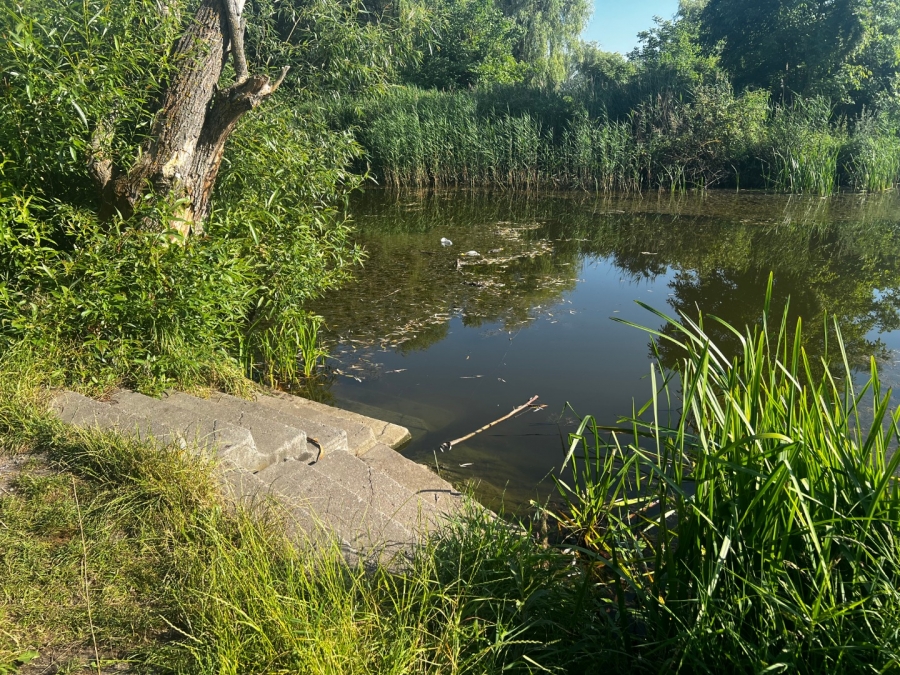 Безкоштовна риболовля в селі Кропивня на річці Тня: що ловиться і де клює