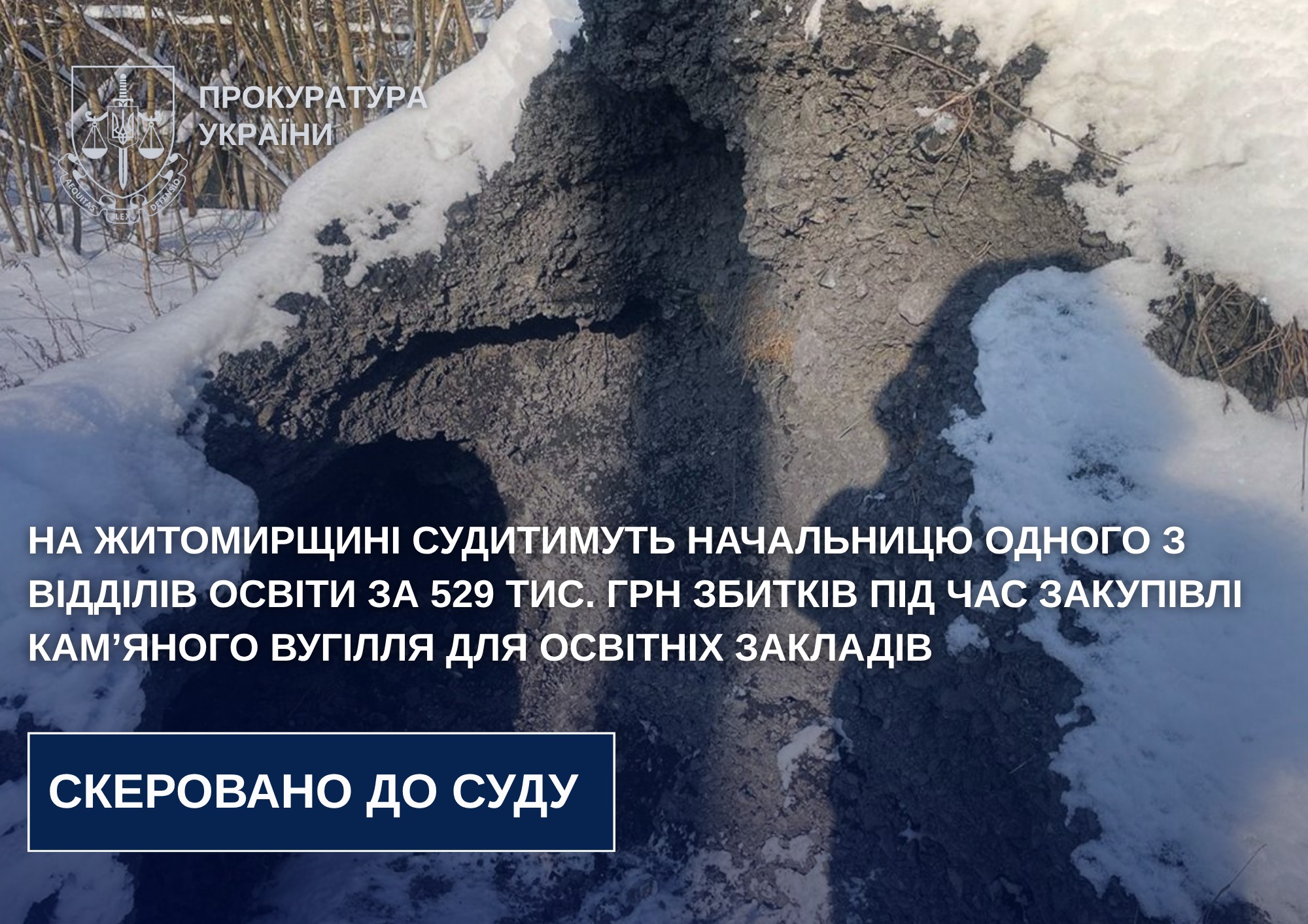 На Житомирщині судитимуть посадовицю через збитки понад 500 тис. гривень під час закупівлі вугілля