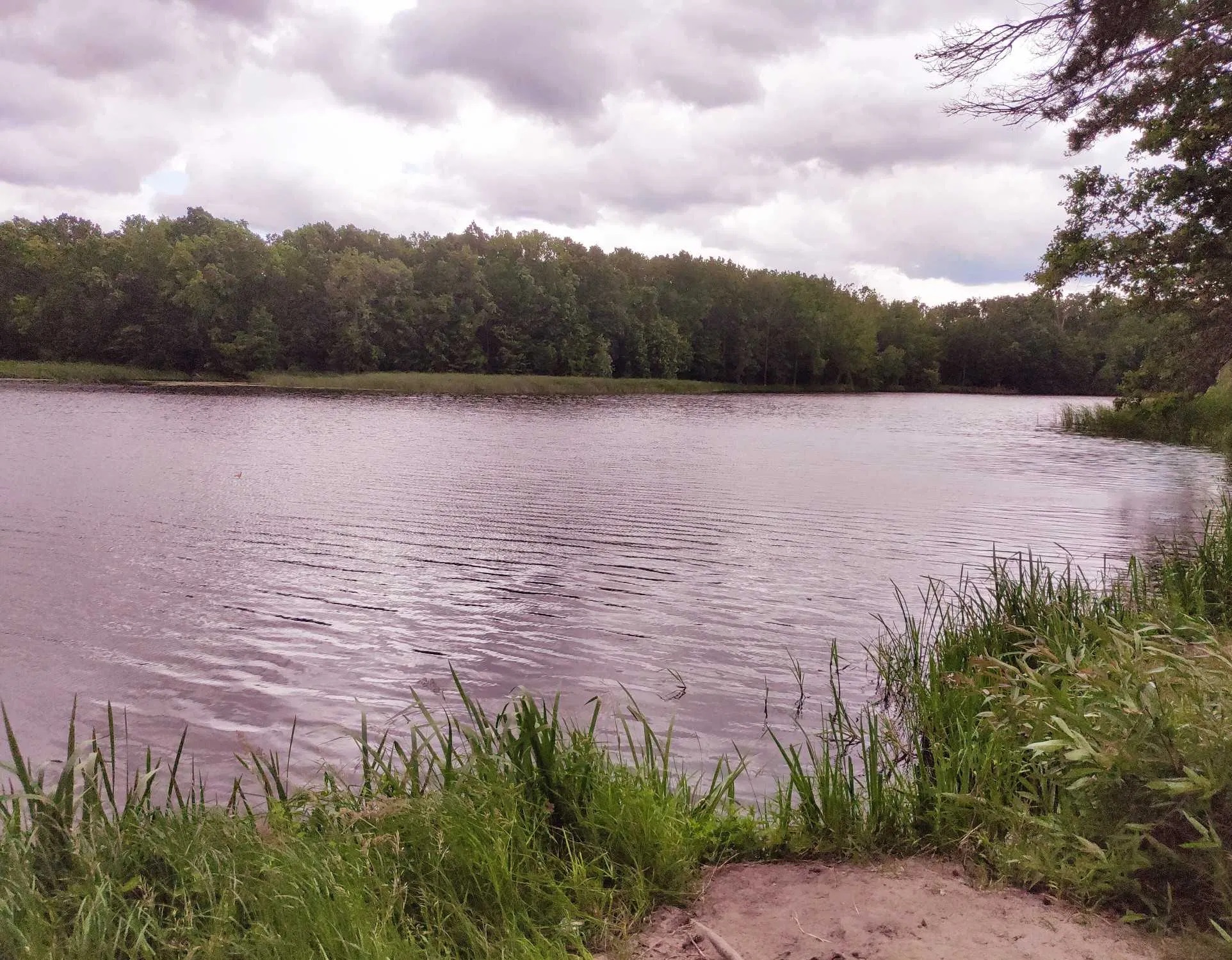 Корчак на річці Тетерів: для рибалки та відпочинку на природі