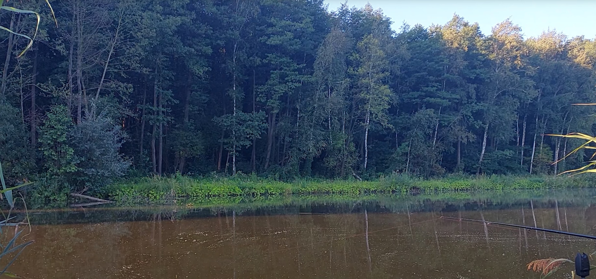 Рибалка в Києві: Озеро Чайка (Ribalka Cool Place) — ціни, умови, риба, відгуки