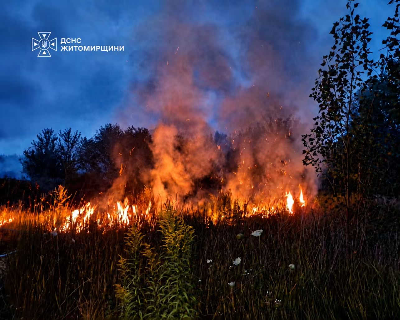 На Житомирщині 74-річна жінка обгоріла, намагаючись загасити пожежу стерні 