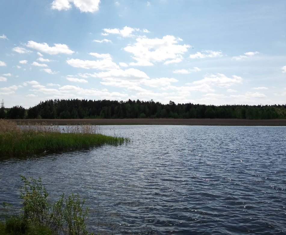 Малинська Коса на Малинському водосховищі — відпочинок біля Ірші та Каменю Кохання
