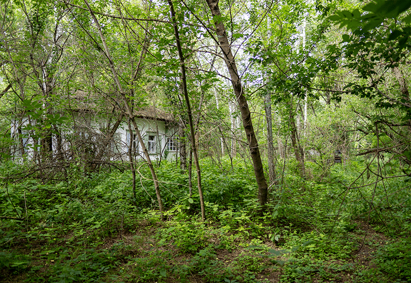 unique object the Chernobyl unique object the Chernobyl