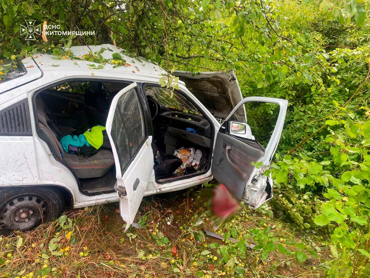 На Житомирщині із понівеченого авто вирізали загиблу водійку