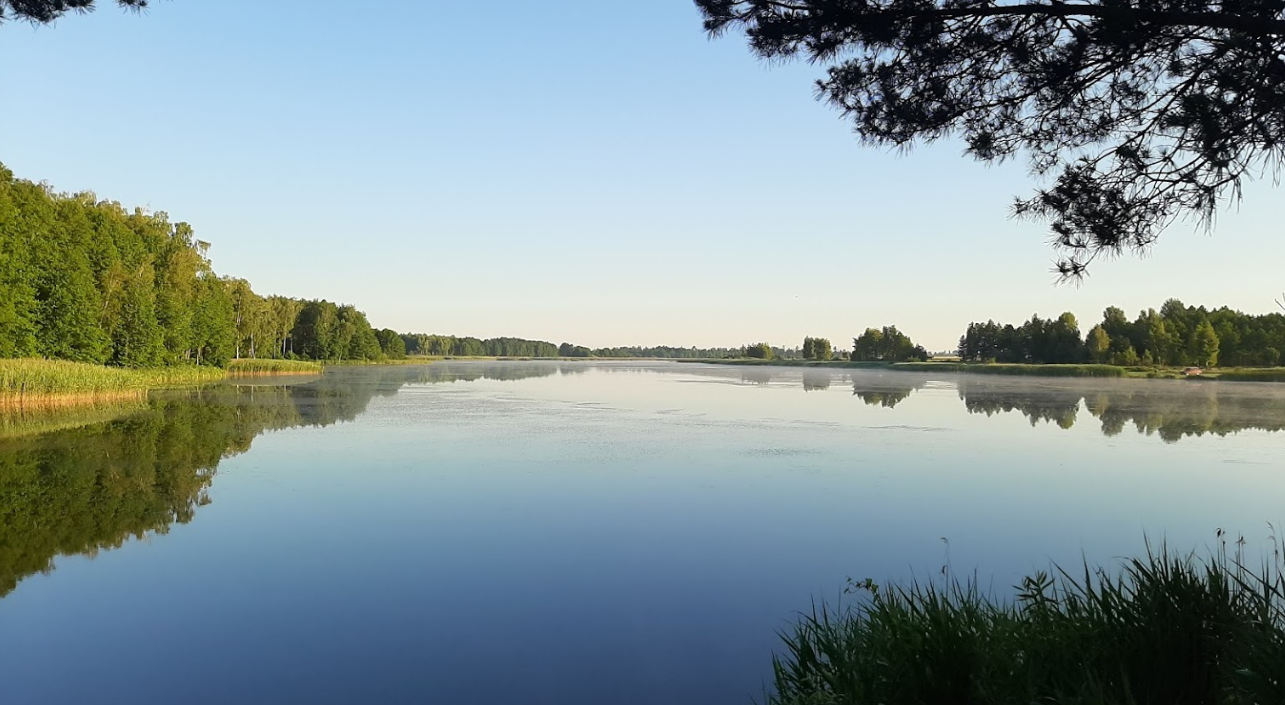 Ставок у Вертокиївці: рибалка на коропа й амура біля Житомира