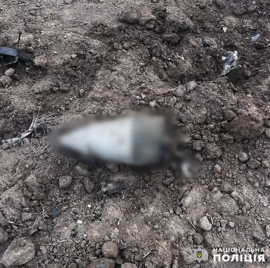 На Житомирщині знищили нерозірвані ворожі боєприпаси