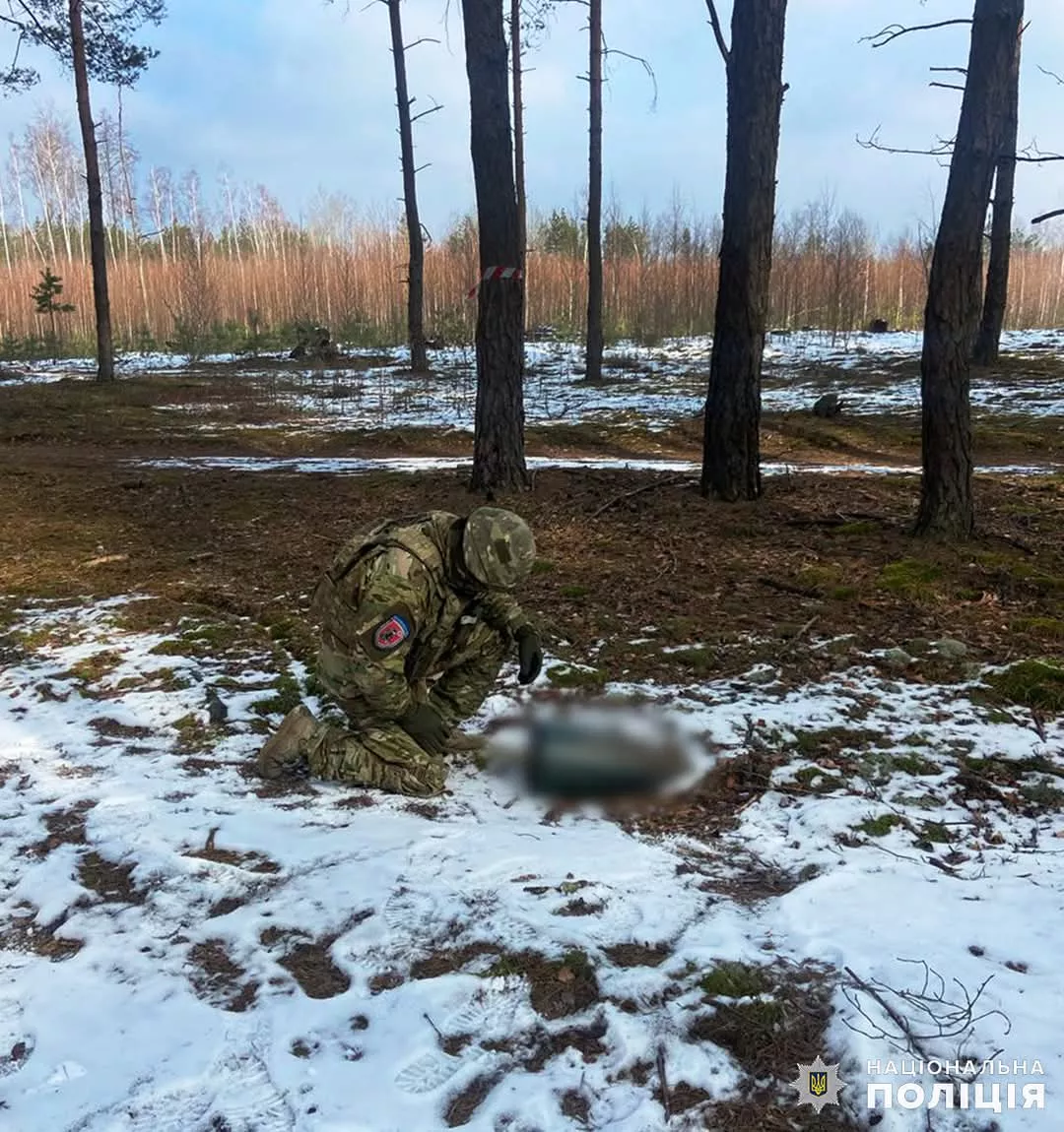 На Житомирщині знищили нерозірвані ворожі боєприпаси
