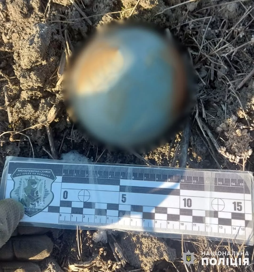 На Житомирщині знищили нерозірвані ворожі боєприпаси