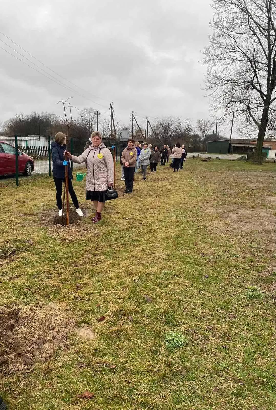 Алея Сакур в Потіївському ліцеї, як символ миру та пам'яті 