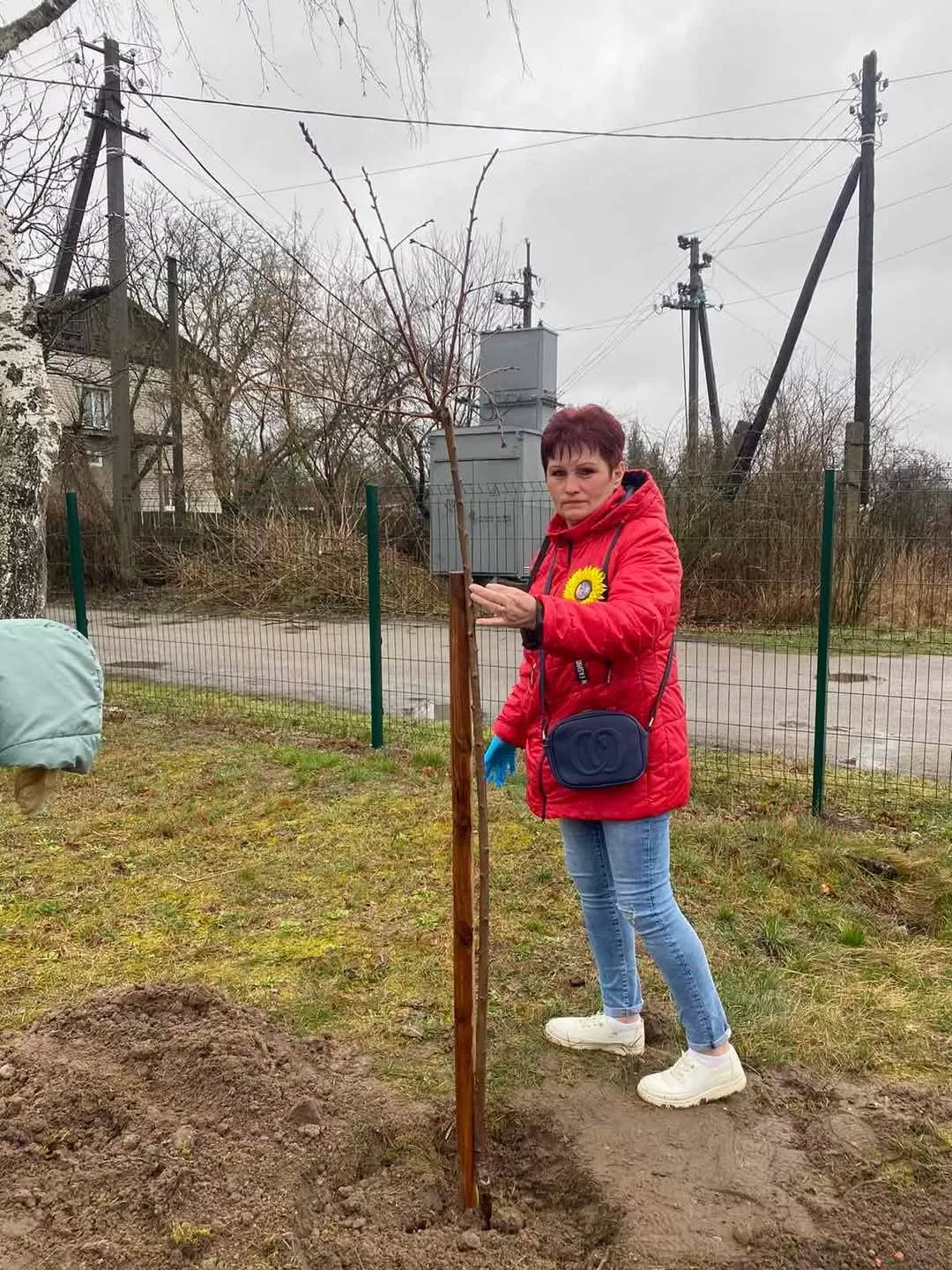 Алея Сакур в Потіївському ліцеї, як символ миру та пам'яті 