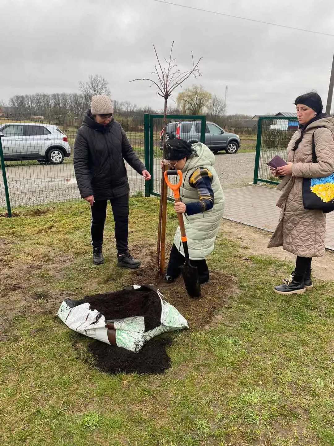 Алея Сакур в Потіївському ліцеї, як символ миру та пам'яті 