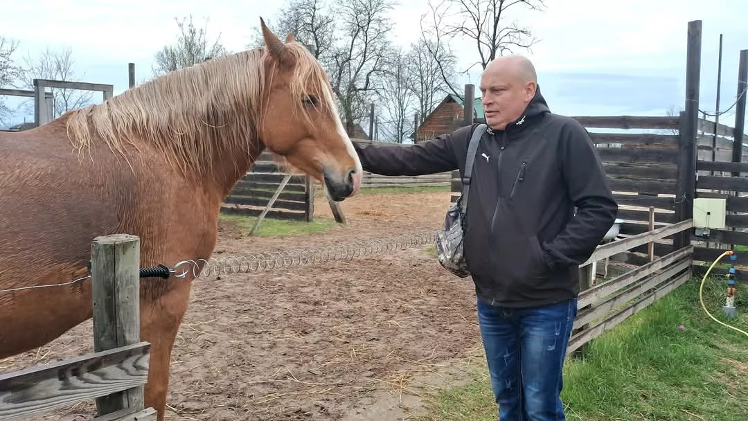 В Радомишлі вивчають користь іпотерапії для реабілітації ветеранів