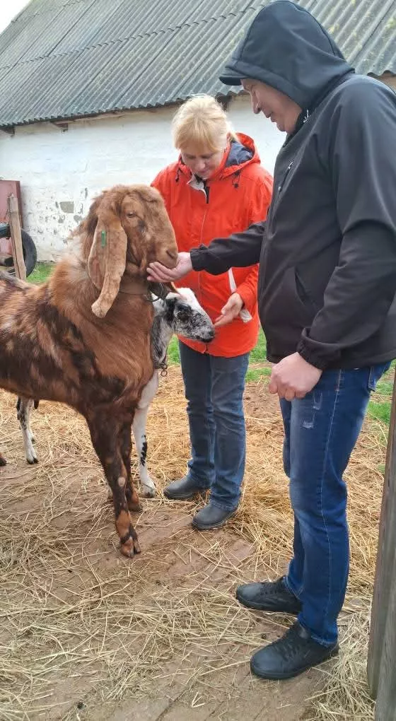 В Радомишлі вивчають користь іпотерапії для реабілітації ветеранів