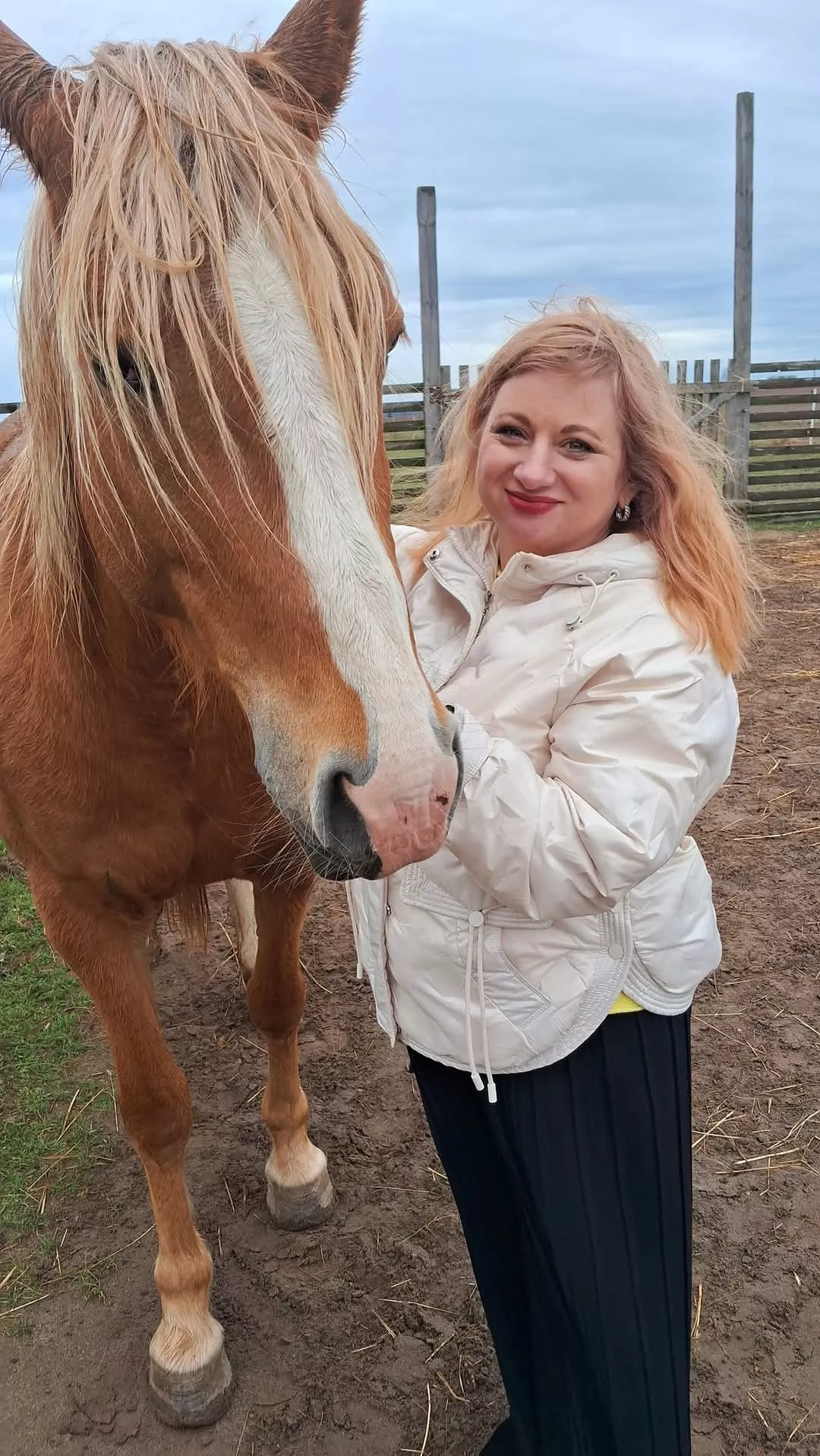 В Радомишлі вивчають користь іпотерапії для реабілітації ветеранів