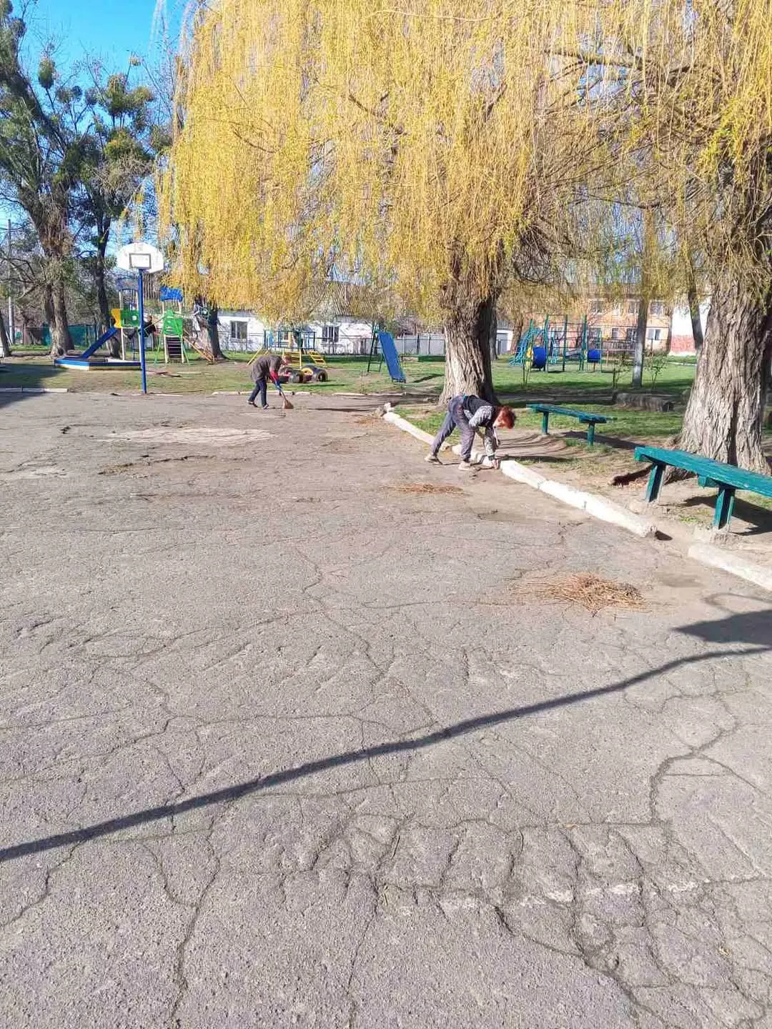 Учні Радомишльського ліцею №2 долучилися до акції "За чисте довкілля"