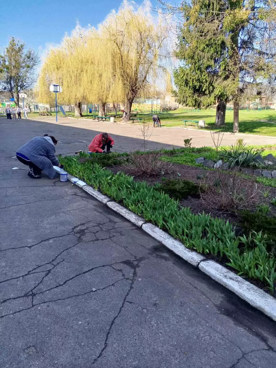 Учні Радомишльського ліцею №2 долучилися до акції "За чисте довкілля"