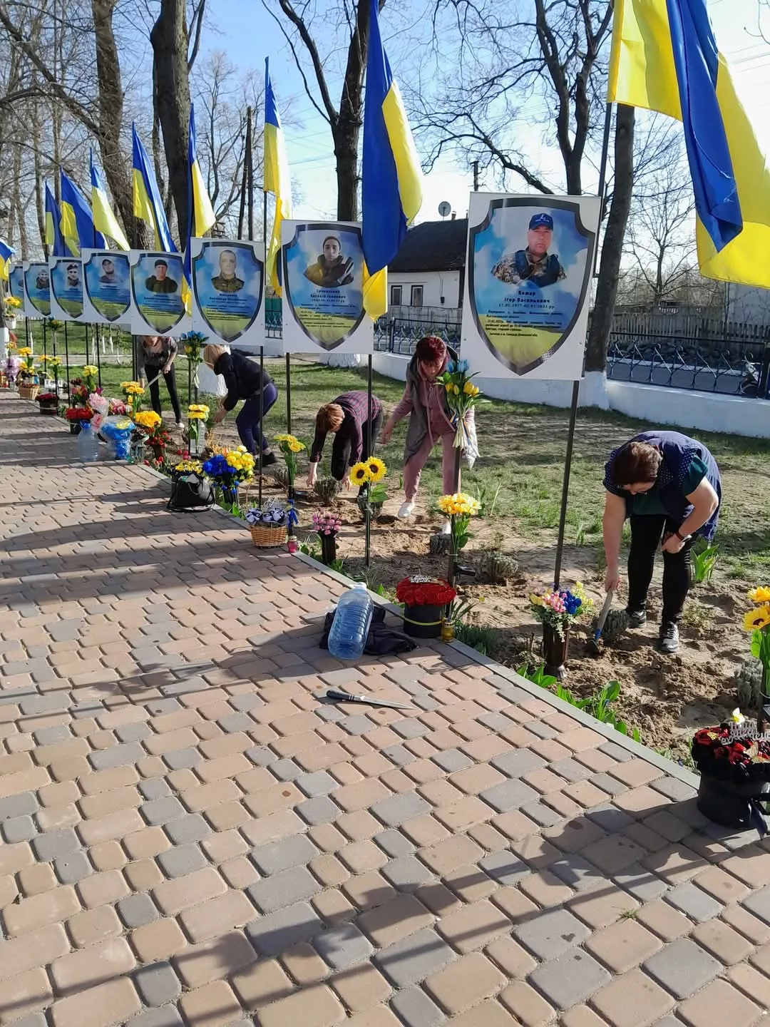 У Потіївській громаді родини загиблих Героїв висадили пам'ятну алею лаванди
