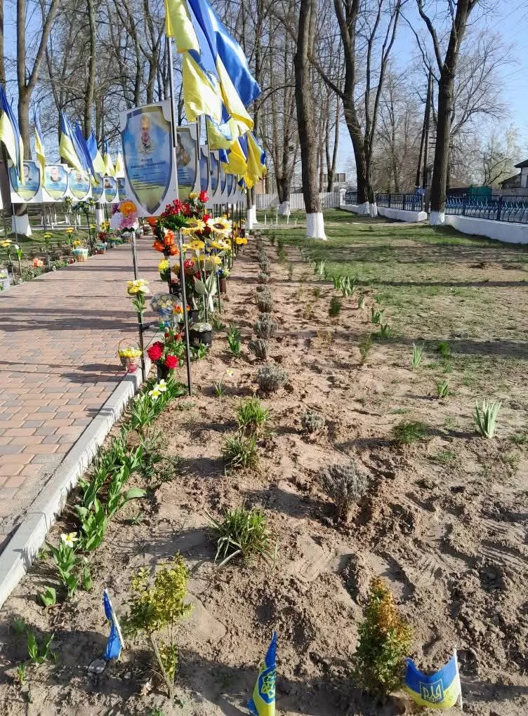 У Потіївській громаді родини загиблих Героїв висадили пам'ятну алею лаванди