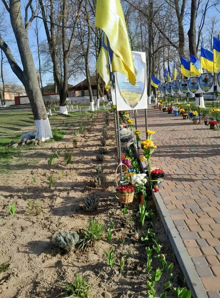 У Потіївській громаді родини загиблих Героїв висадили пам'ятну алею лаванди
