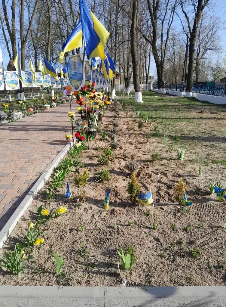 У Потіївській громаді родини загиблих Героїв висадили пам'ятну алею лаванди
