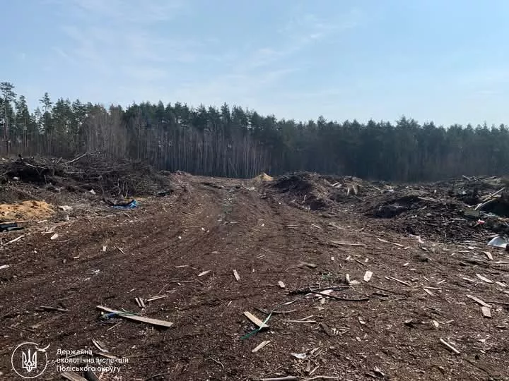 У Радомишлі виявлено масштабне забруднення лісових земель: довкіллю завдано збитків на 1,6 млн гривень