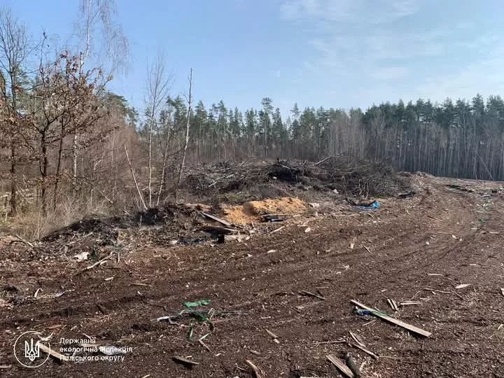 У Радомишлі виявлено масштабне забруднення лісових земель: довкіллю завдано збитків на 1,6 млн гривень