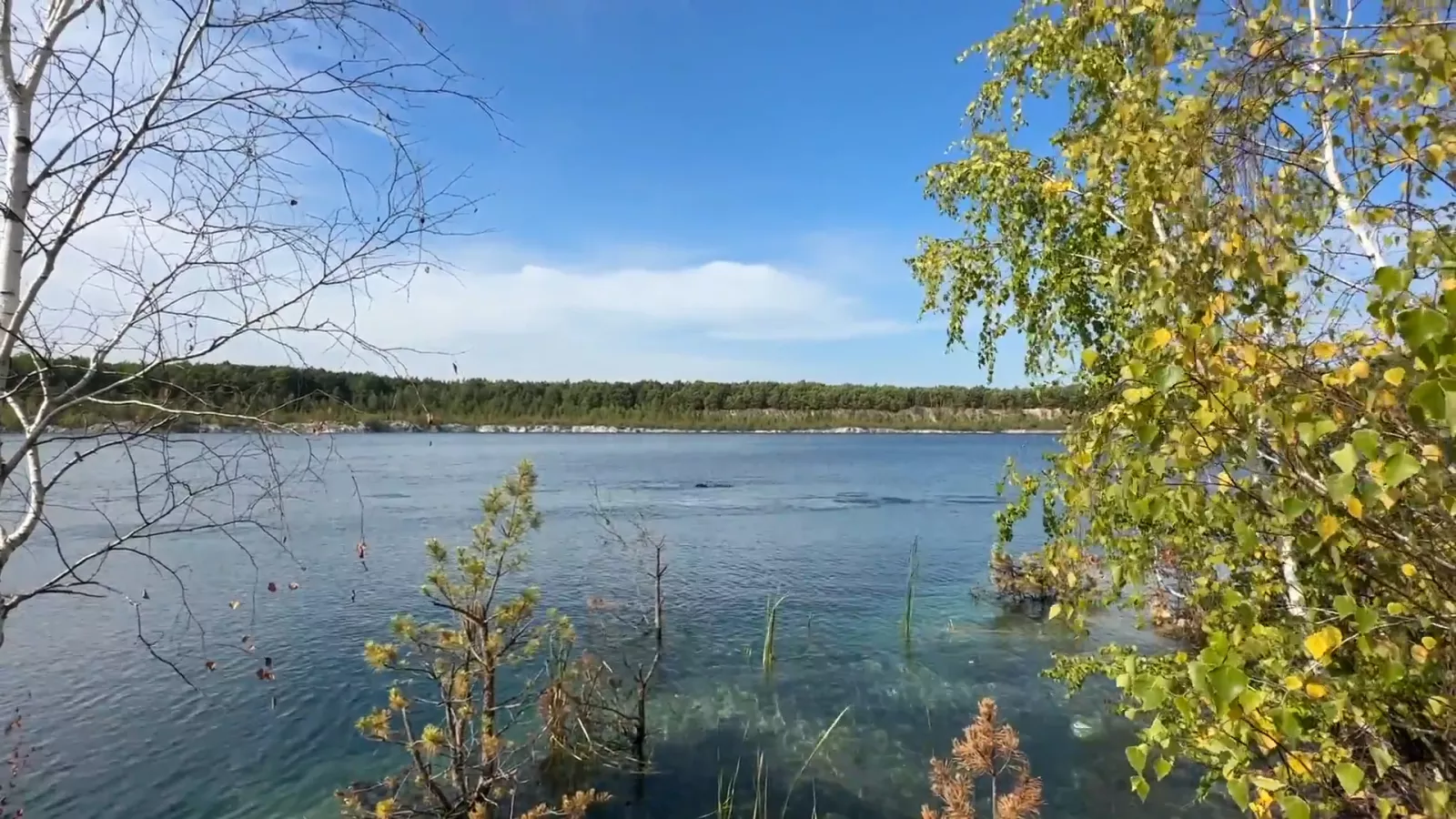 Новоозерянський кар’єр — відпочинок серед лісів Полісся