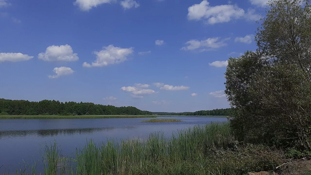 Лумлянське водосховище: риболовля та відпочинок на Поліссі