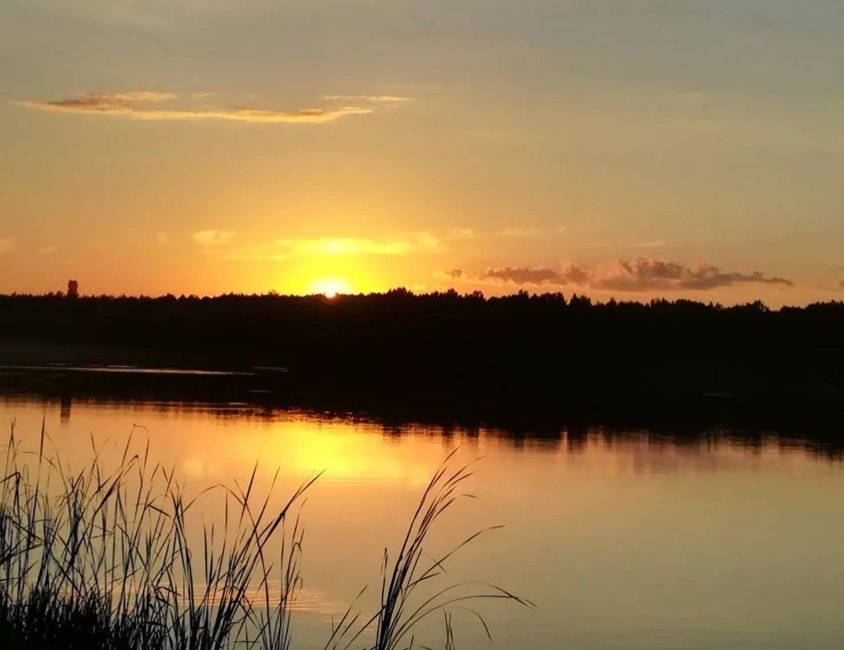 Візнянське водосховище біля Ворсівки: риболовля та відпочинок