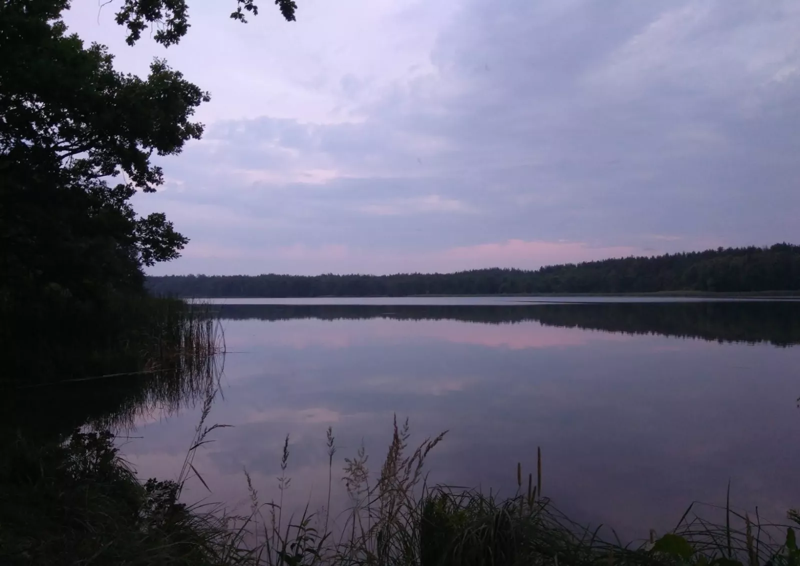 Візнянське водосховище біля Ворсівки: риболовля та відпочинок