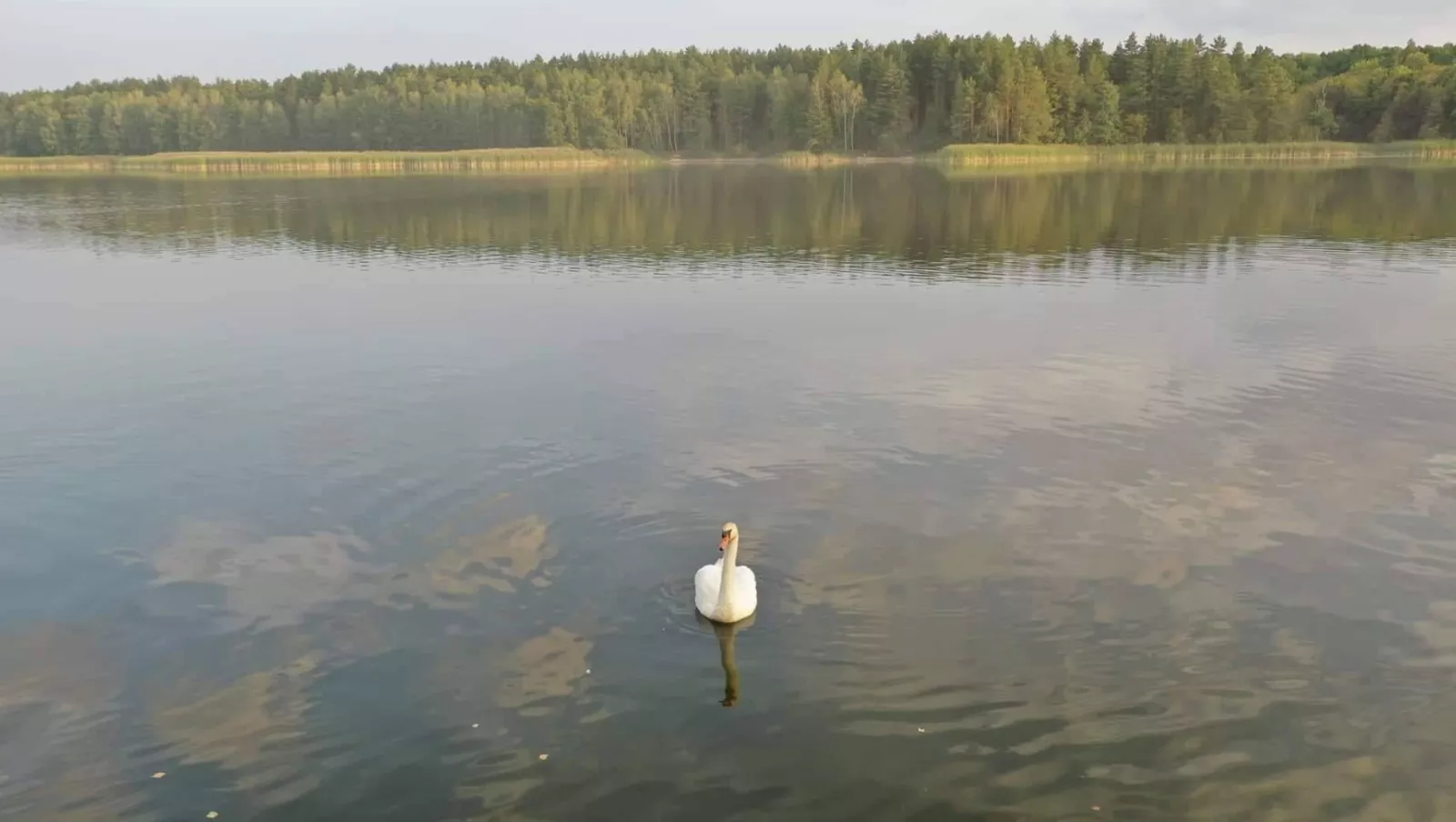 Візнянське водосховище біля Ворсівки: риболовля та відпочинок