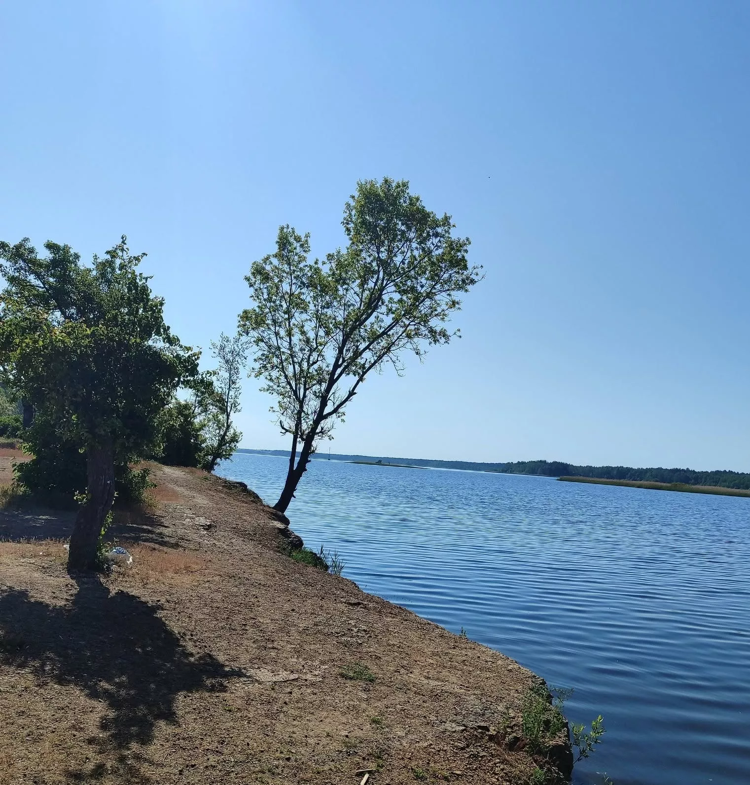 Малинське «море»: ідея для бюджетних вихідних за 100 км від Києва