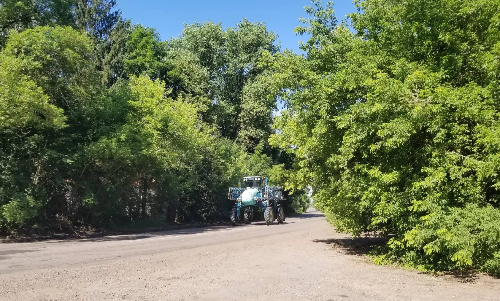 Великі Кліщі: історія відселеного села та дерев’яної церкви