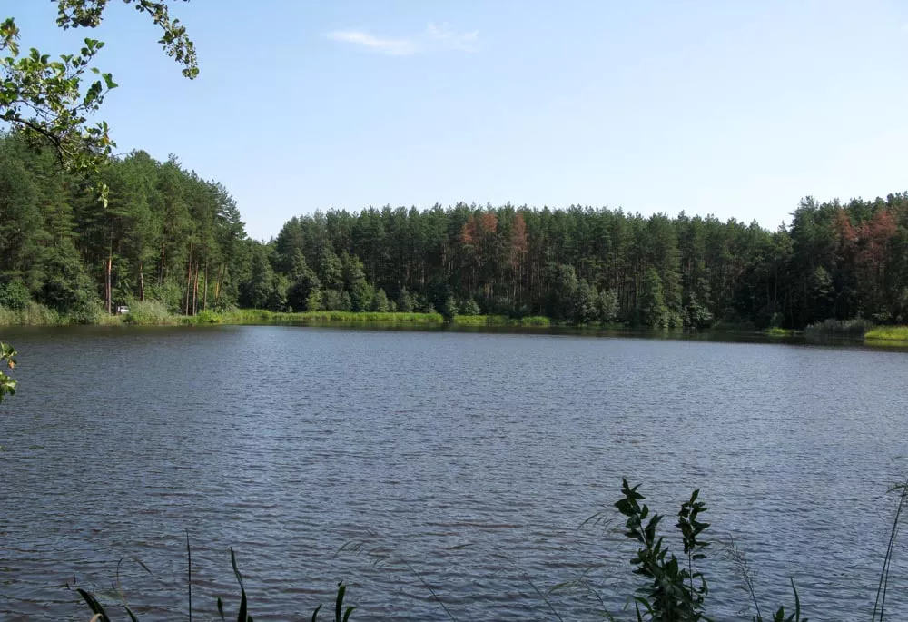 Де порибалити в Коростишеві: повний гід по всіх водоймах