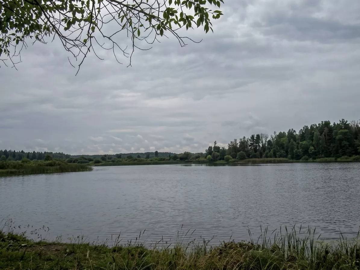 Словечанське водосховище: риболовля та відпочинок на Поліссі