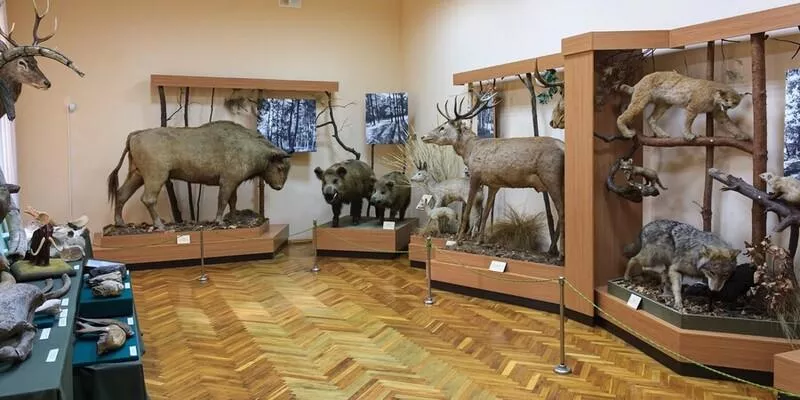 Музей природи у Житомирі — частина великої історії краю
