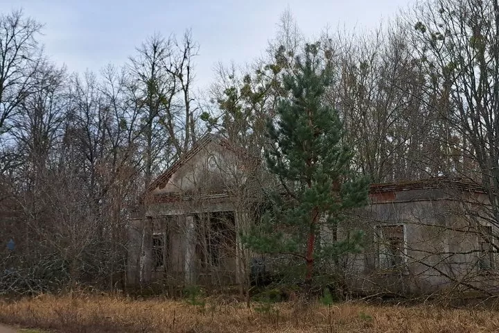 Виступовичі: велике село на кордоні, яке Чорнобиль так і не зміг стерти