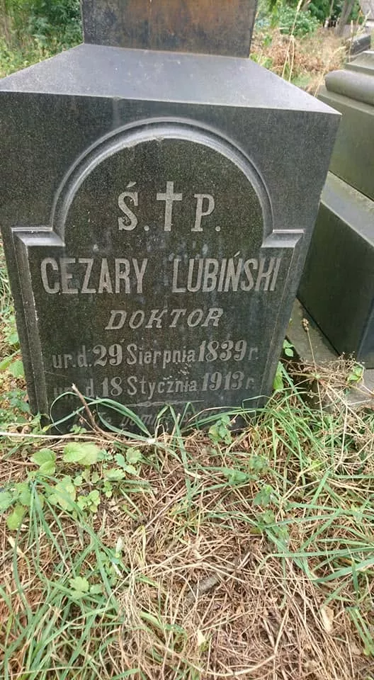 Забутий польський цвинтар у Радомишлі: склеп Вербицьких, історія та легенди