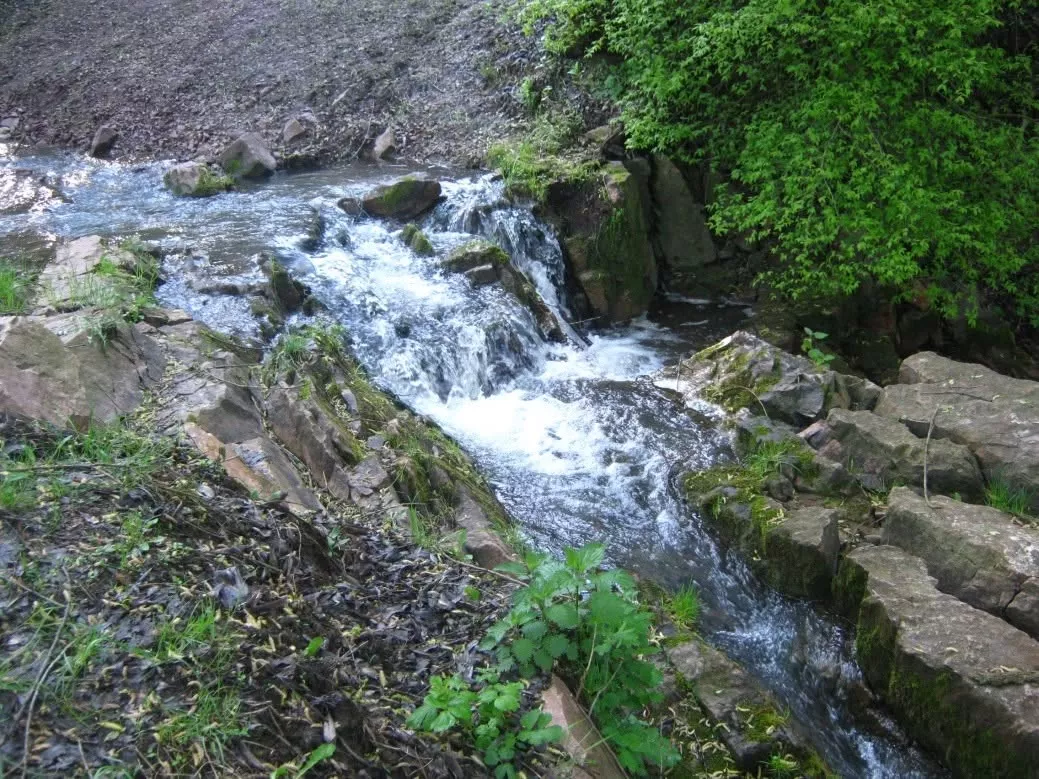 Хайчанське водосховище: риболовля та відпочинок на Овручині