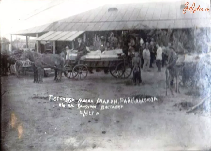 Сільськогосподарська кооперація на Малинщині в 1920-х роках та Малинський маслосирзавод