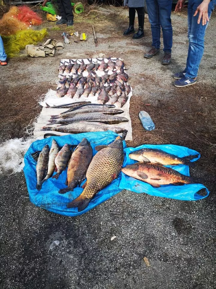 Малинське «море»: ідея для бюджетних вихідних за 100 км від Києва