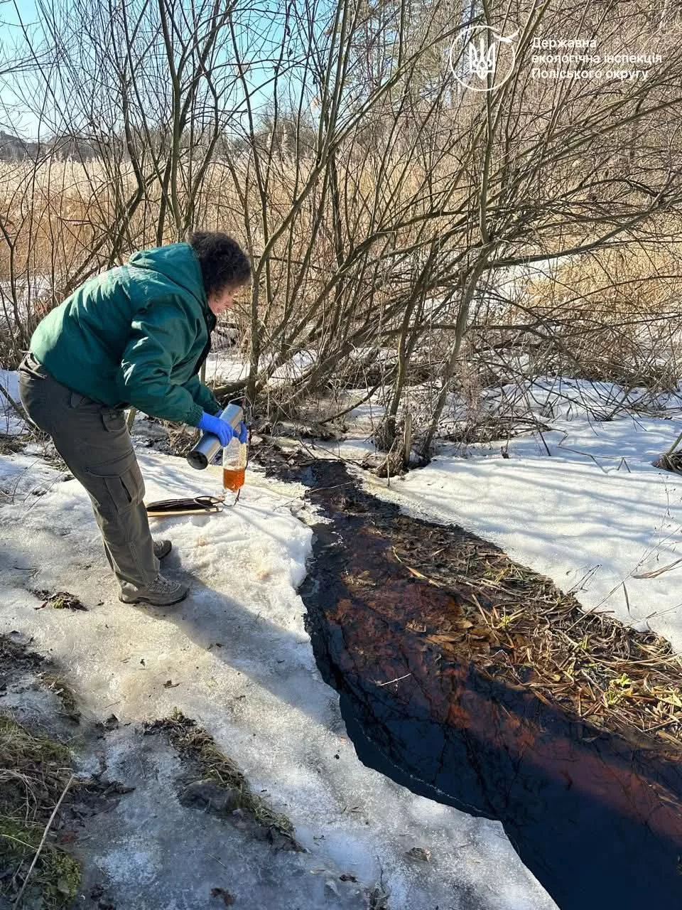 2 млн грн збитків через загибель риби у річці Крошенка: Екоінспекція передала матеріали до прокуратури